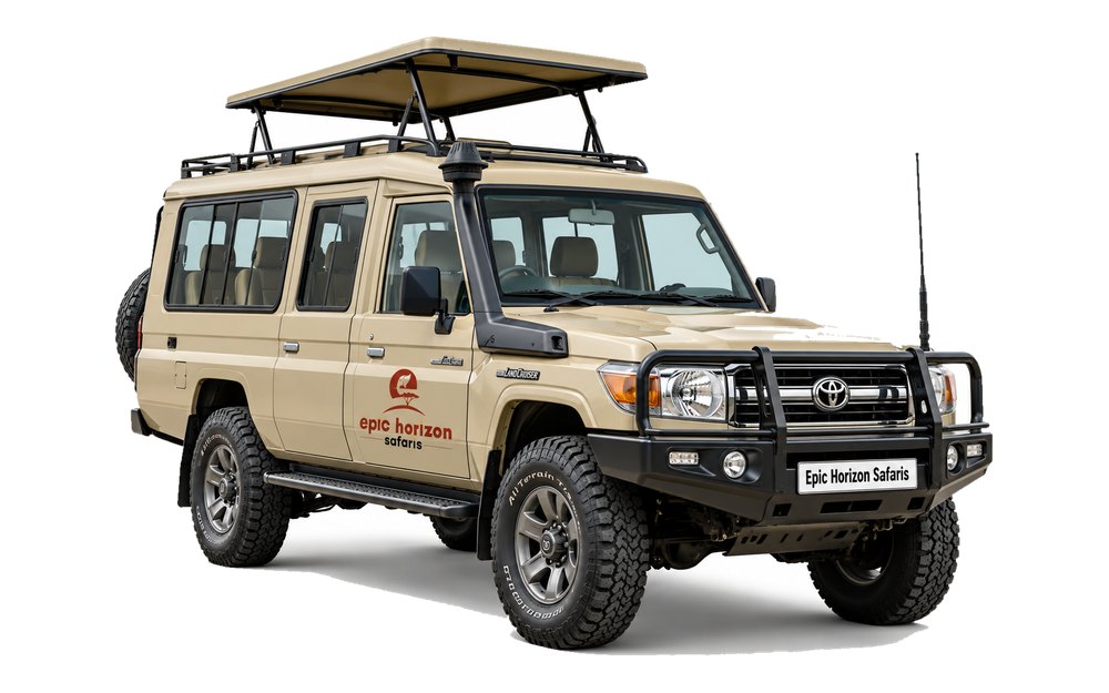 Safari 4x4, Toyota Land Cruiser tour vehicle with pop-up roof, 7 seater