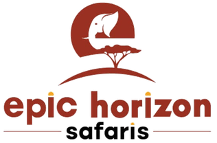 Epic Horizon Safaris